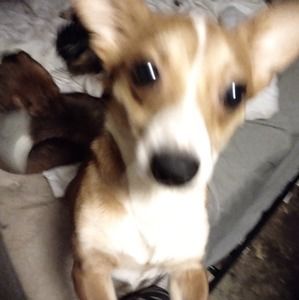 Meet your Posher, Beverly